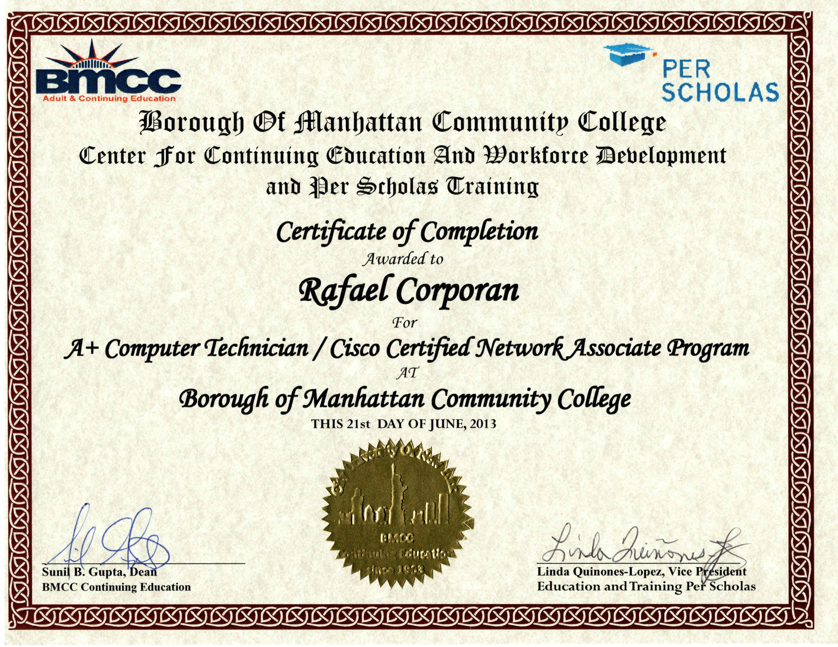 A+ Computer Technician / Cisco Certified Network Associate Program